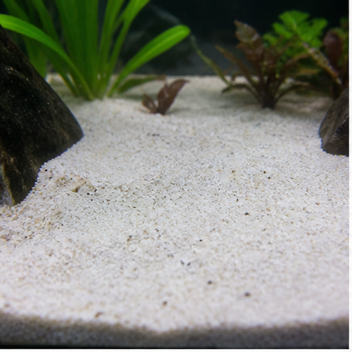 Akvaariopohja clair dans un aquarium
