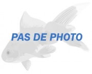 Copella arnoldi Merkki